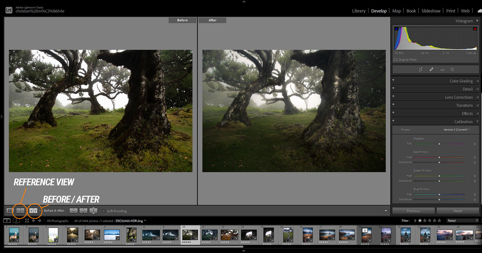 70 Adobe Lightroom Classic Tips, Tricks, and Shortcuts for Beginners