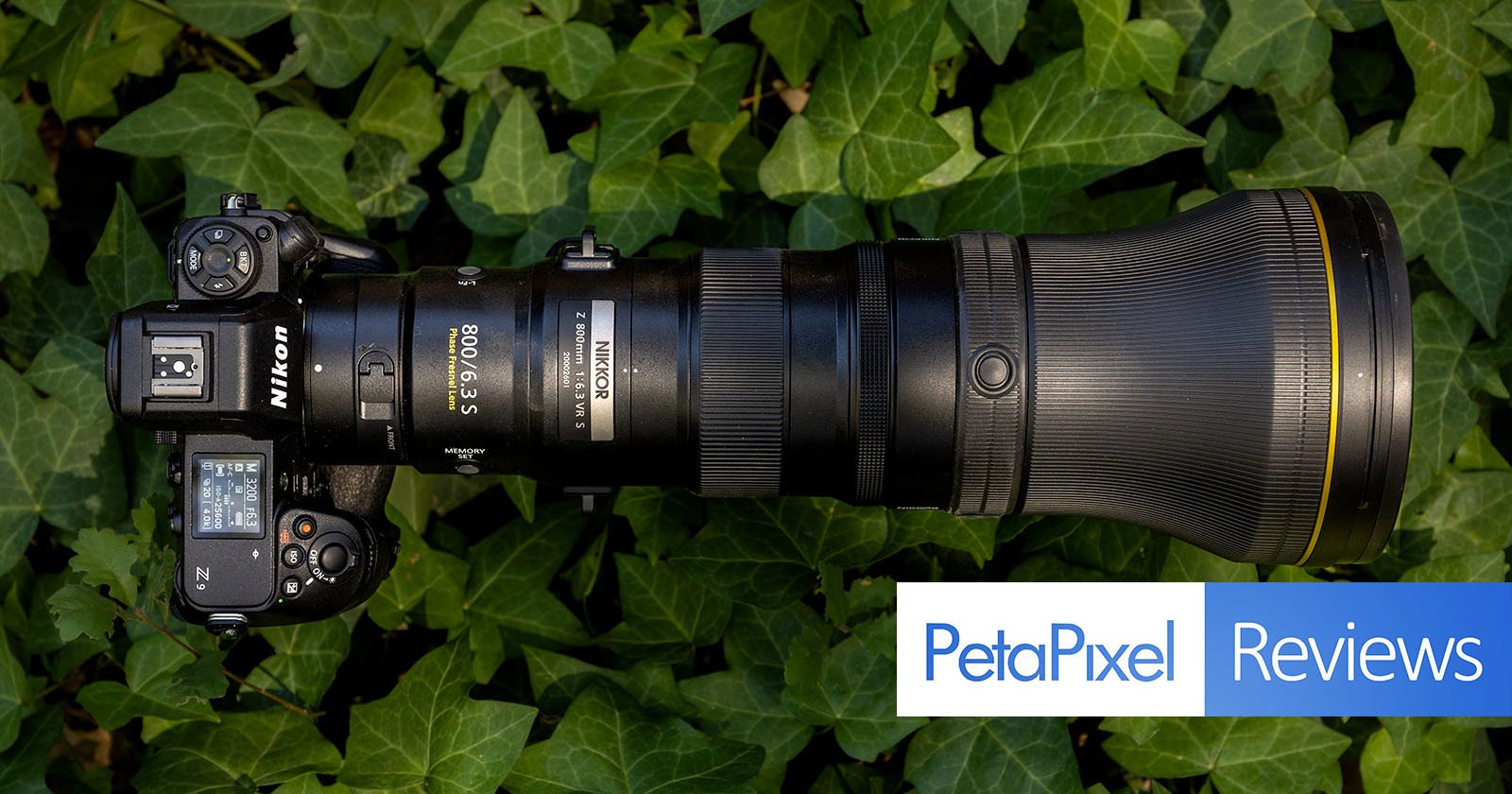 Nikon Z 800mm f/6.3 VR S Review: In a Class of Its Own