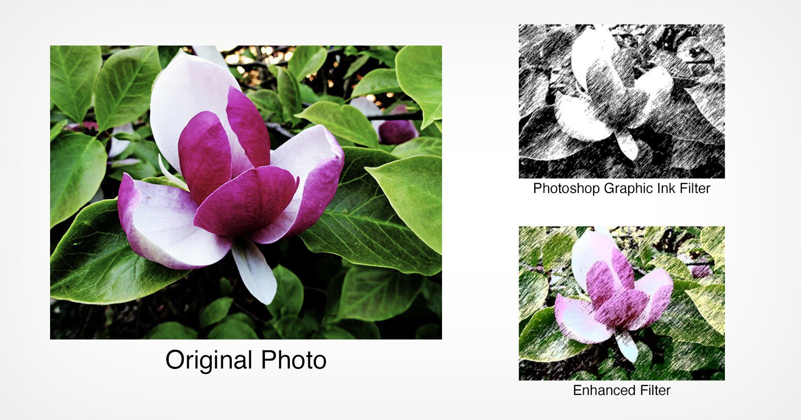  these free photoshop enhanced filters put default 