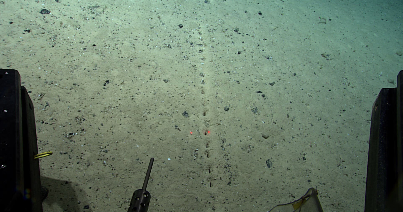 Scientists Baffled by Strange Holes on Seafloor That Look Human-Made