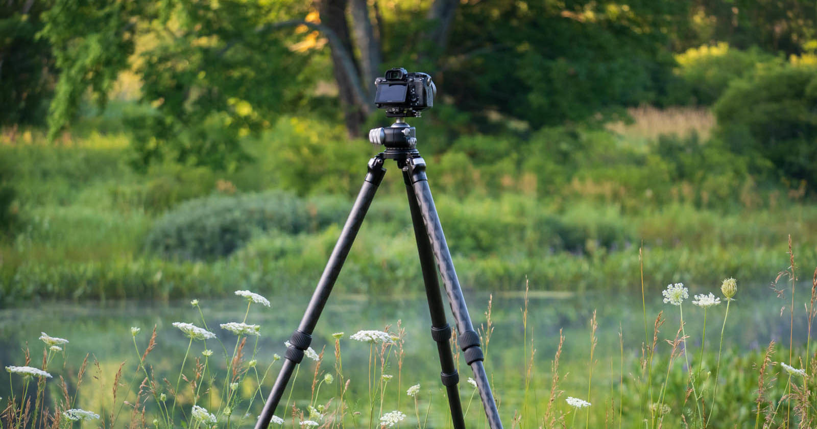 The Beginners Guide to Tripods