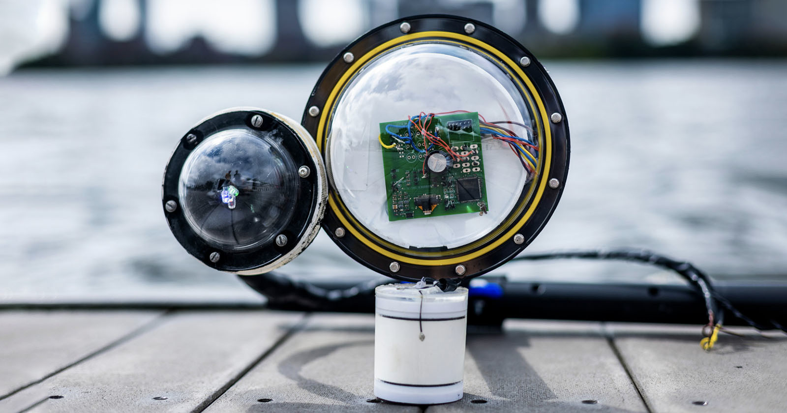 Scientists Create Battery-Free Underwater Camera Powered by Sound