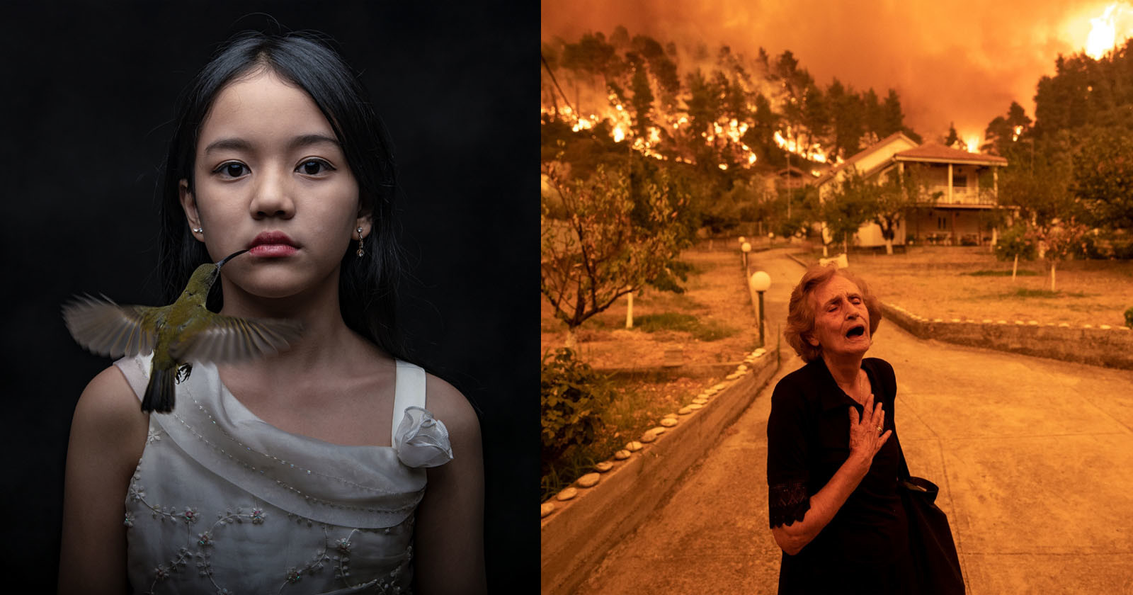 The Incredible Winners of the 2022 Siena International Photo Awards