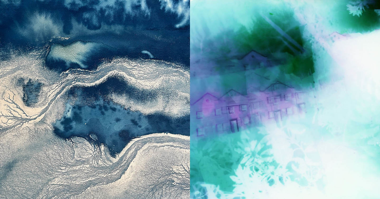  camera-less photographer creates beautifully abstract cyanotypes 