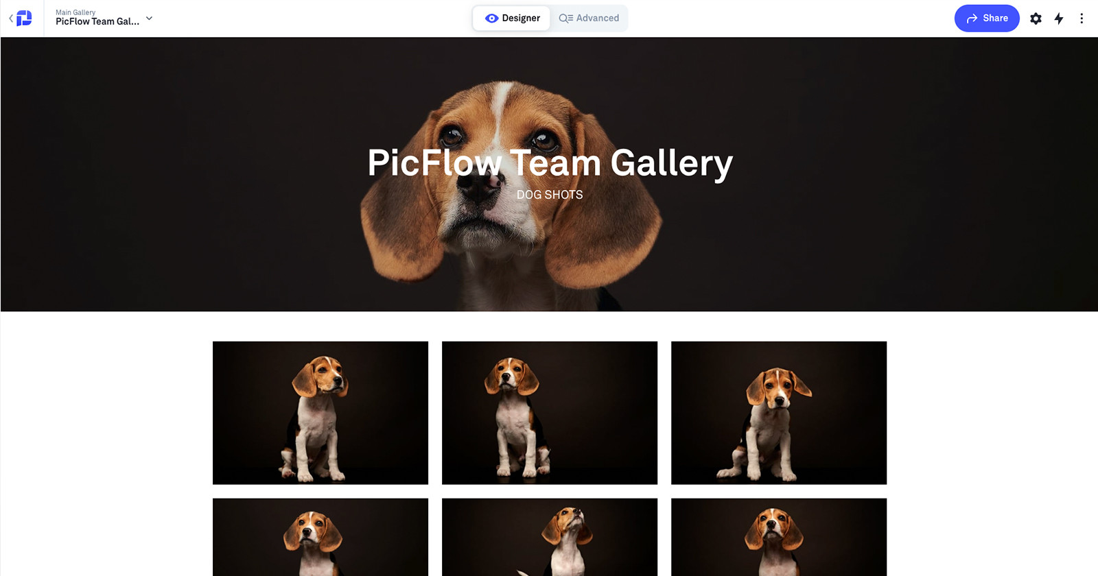  picflow professional client gallery proofing workflow simplified 