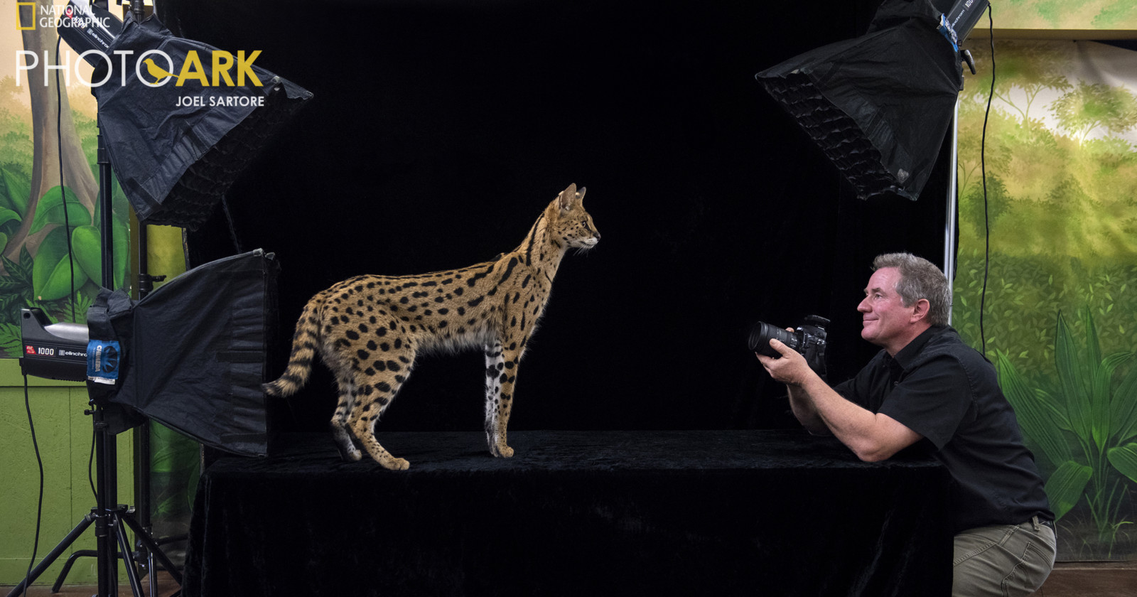 Photo Ark: A Photographers Mission to Capture 20,000 Animal Species
