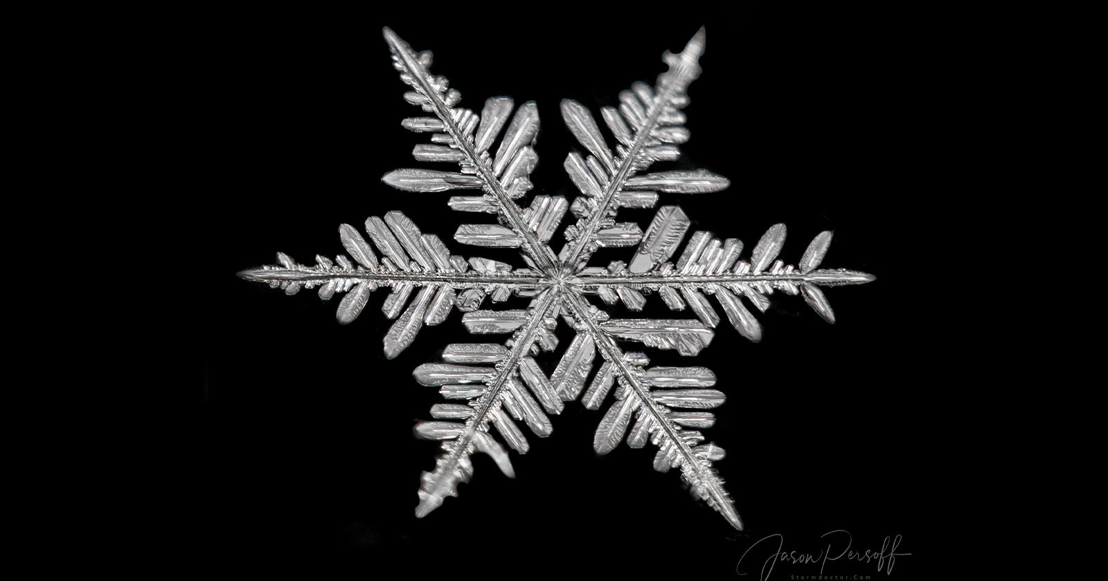  photographer seeks perfectly formed snowflakes magical photo 