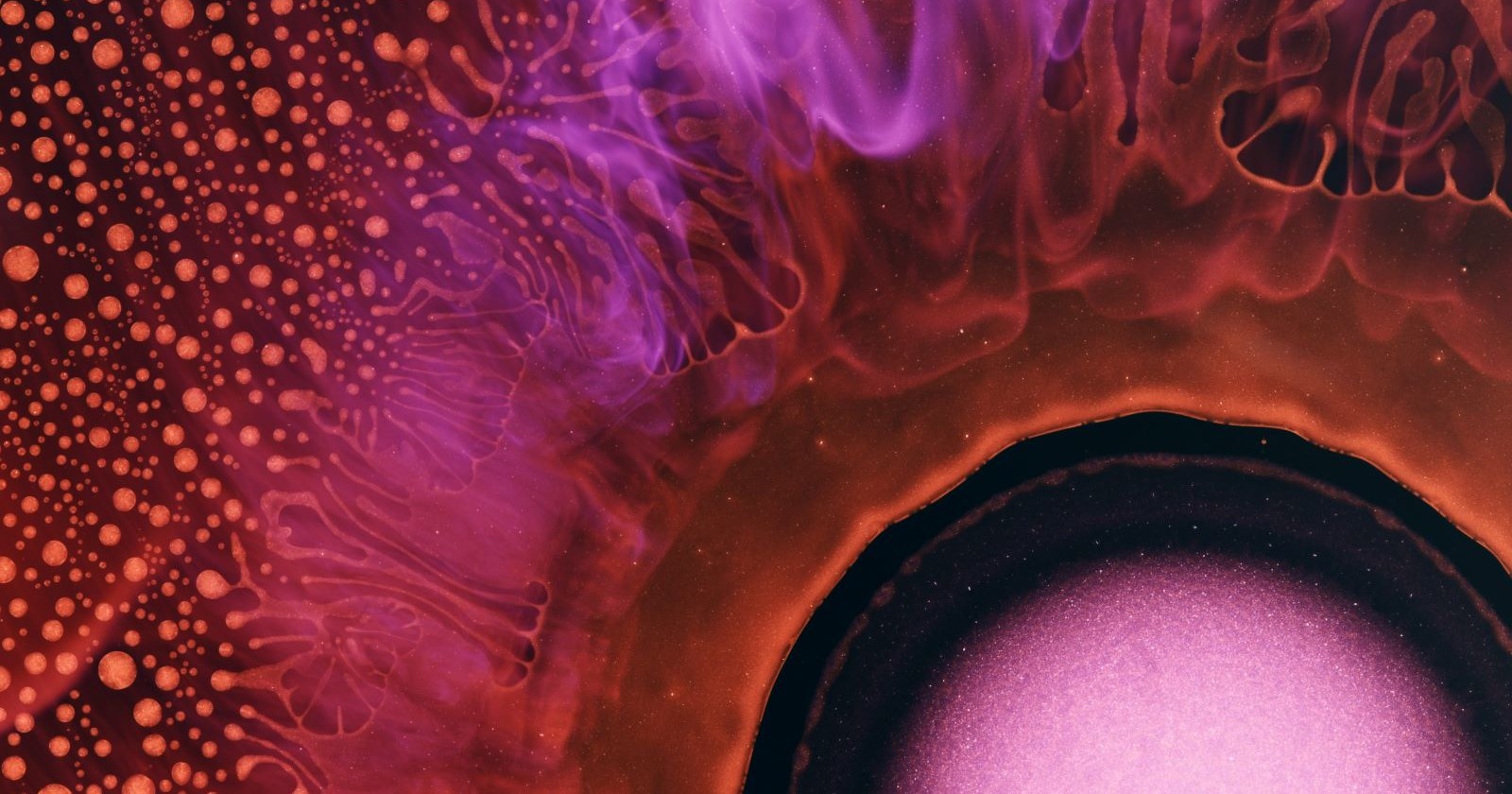 Photographer Captures the Energetic World of Chemical Reactions in Macro