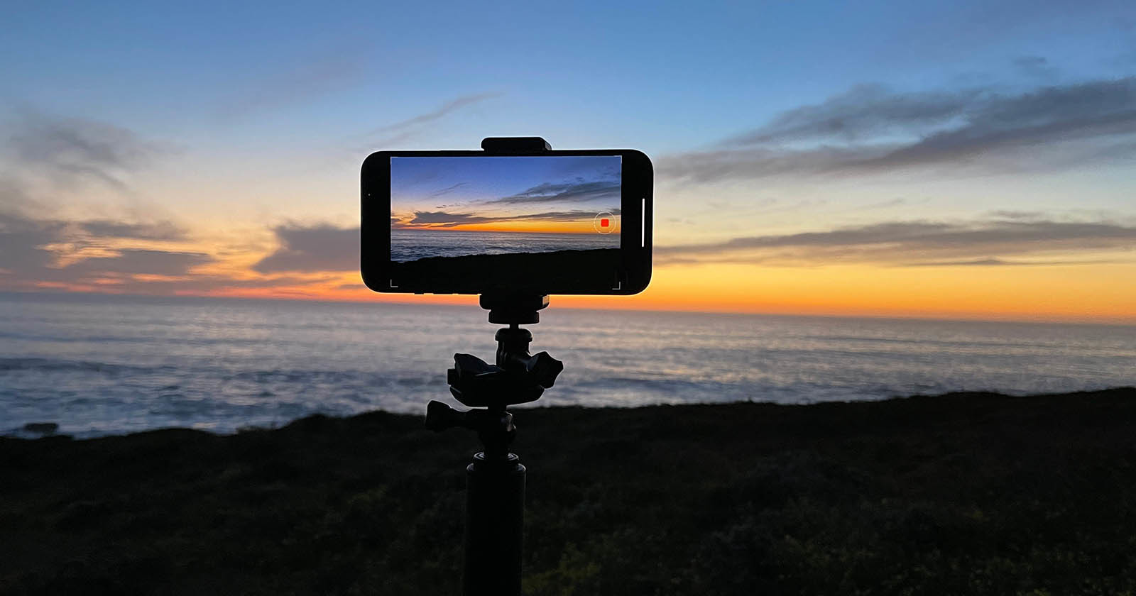 10 Tips and Tricks for Shooting Better Smartphone Photos