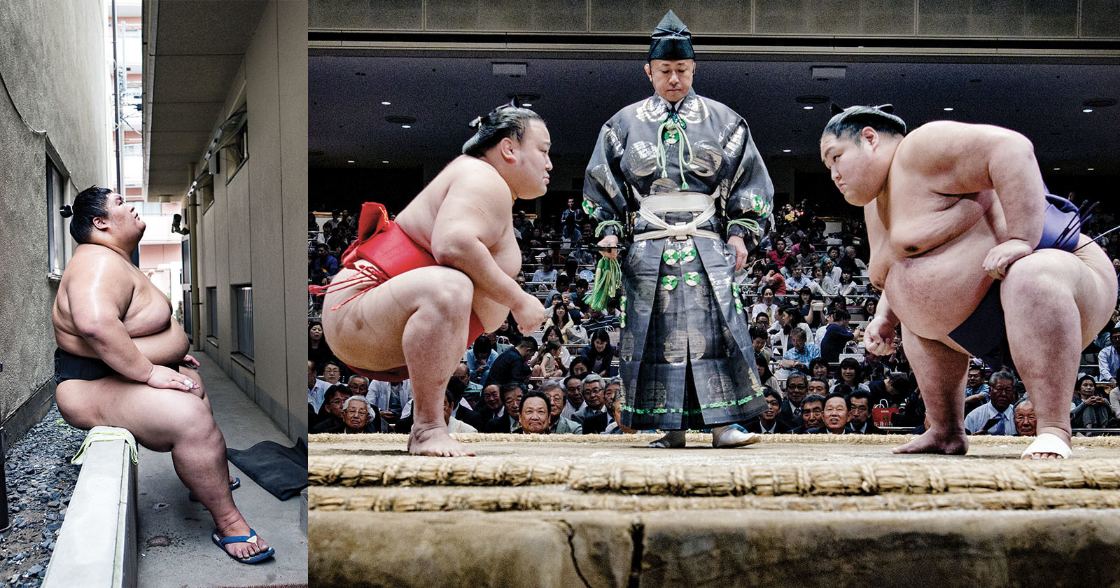 Photographer Offers Rare Insight into the Secretive World of Sumo Wrestling
