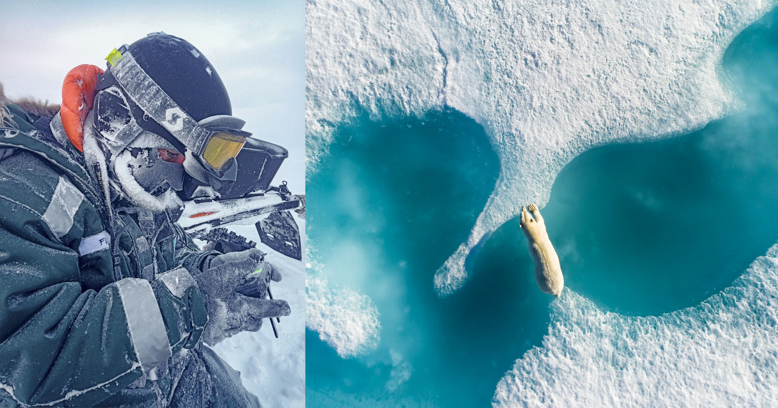  photographer endures five months arctic ice capture polar 