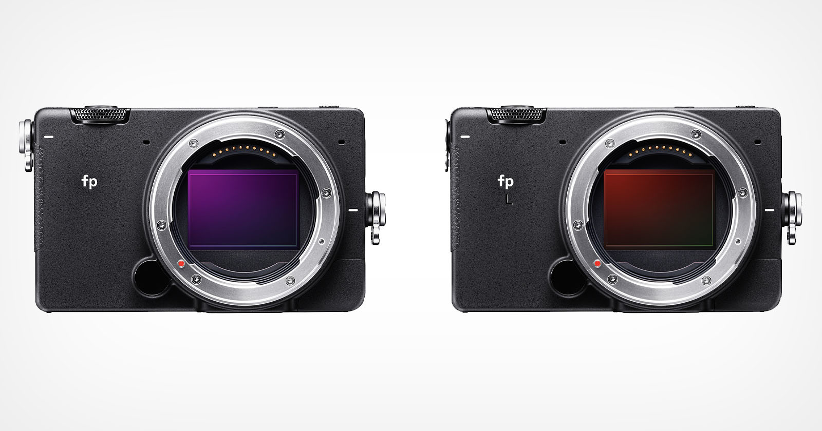 Sigma Gives fp and fp L Cameras Multiple Video-Focused Upgrades