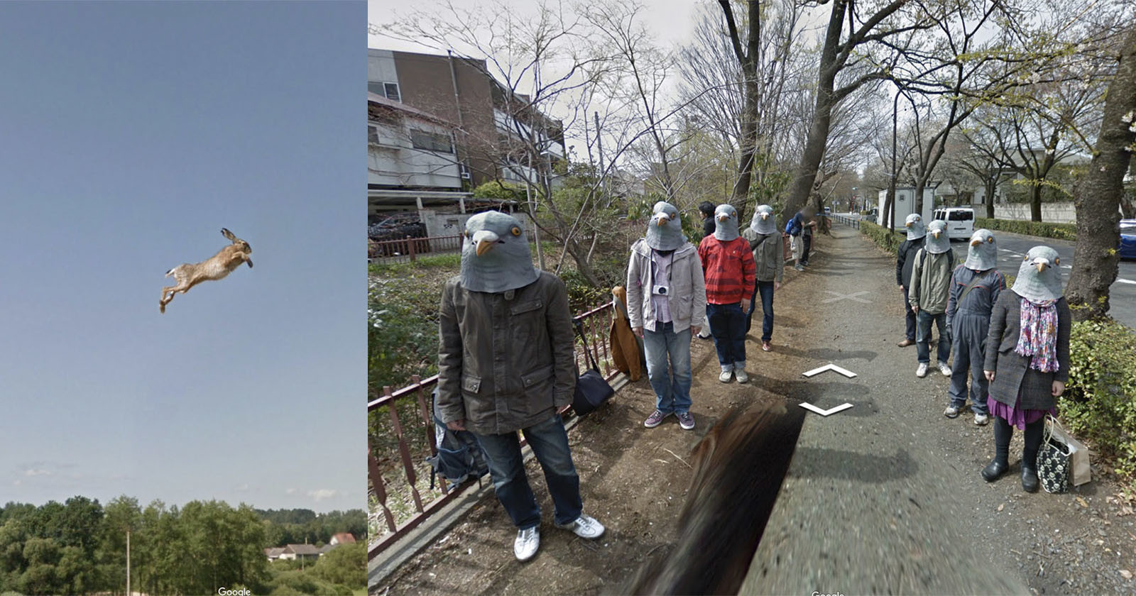 Wonders of Street View Highlights the Most Bizarre Scenes on Google Maps