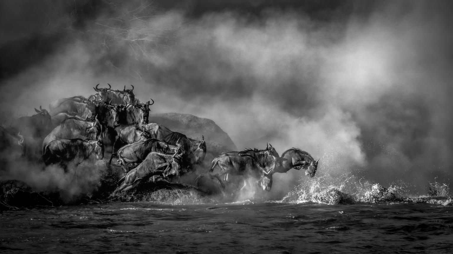 Photos Of Last Northern White Rhino On Earth Wins Travel Photo Contest