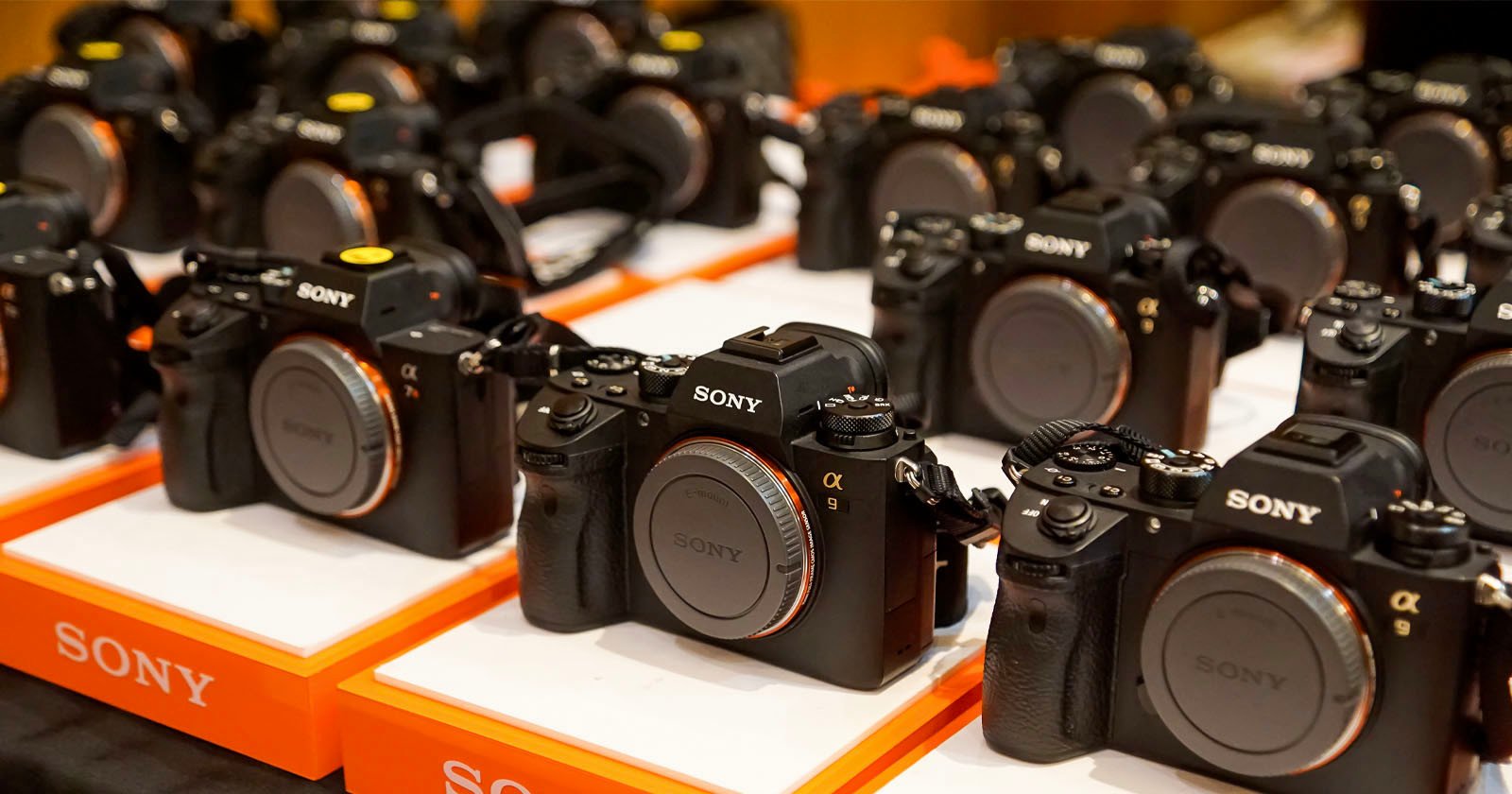 The Average Digital Camera Price Has Doubled Over the Past Three Years