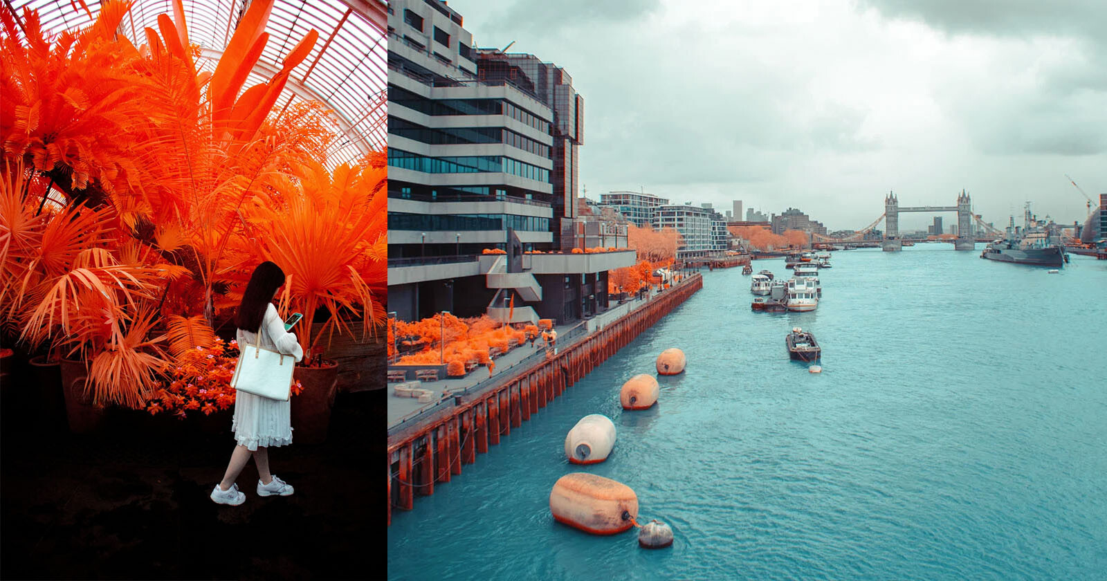 Capturing Beautifully Unique Travel Photos with a Full-Spectrum Camera