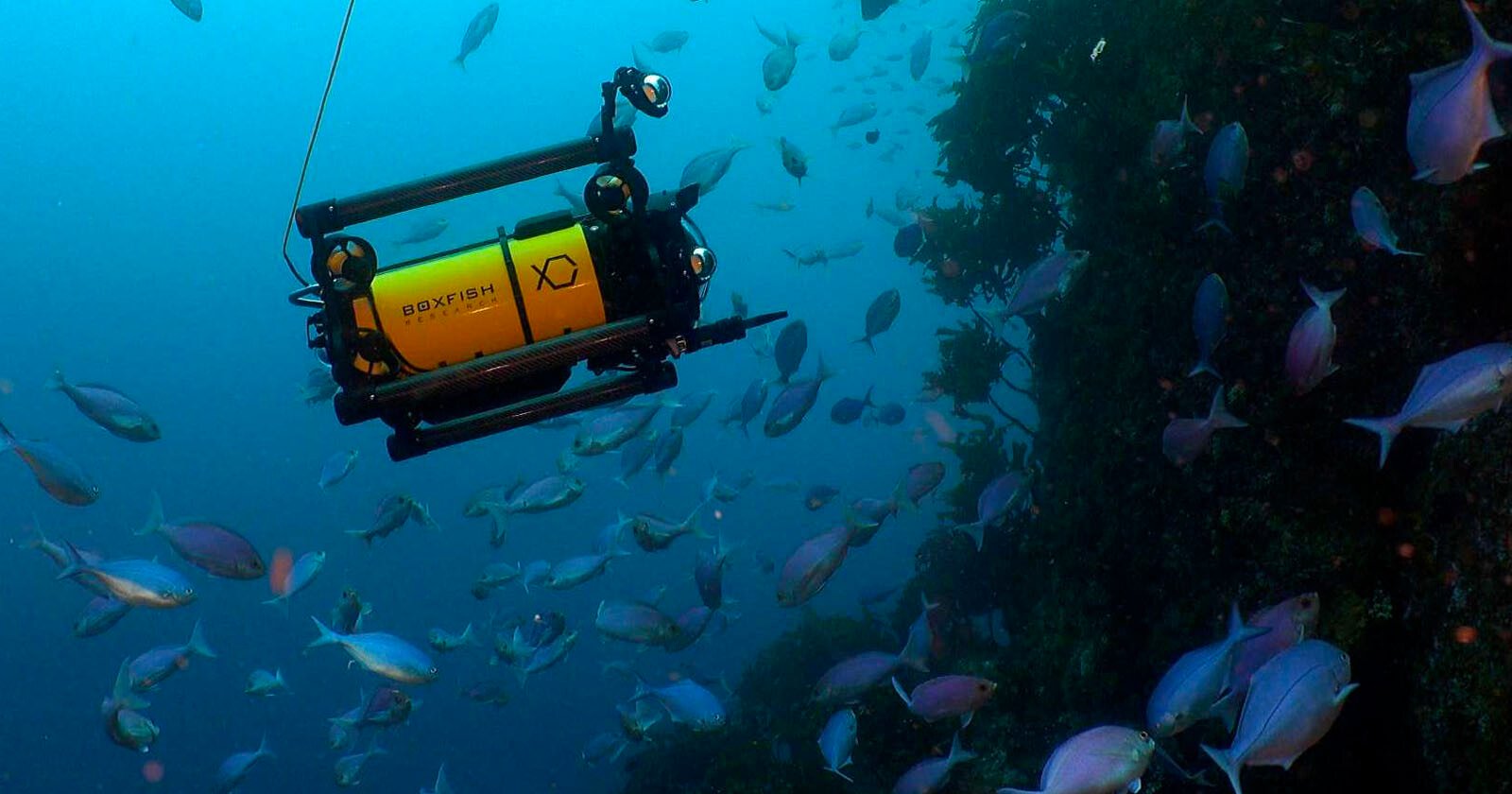  boxfish luna pro-level underwater cinema drone 