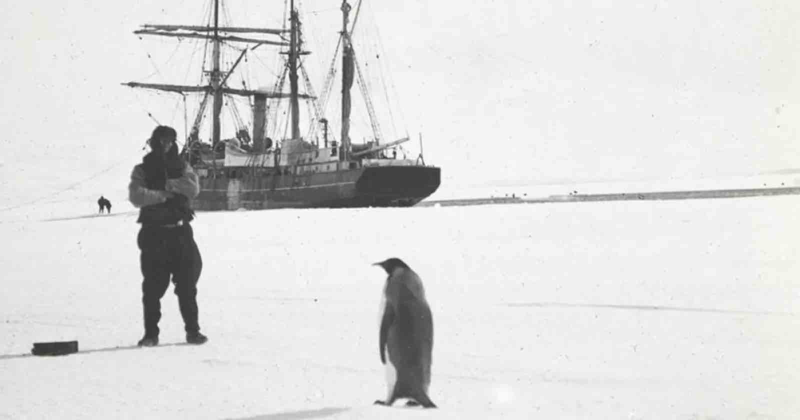 Rare Photos From Early Antarctic Expeditions Digitized for First Time