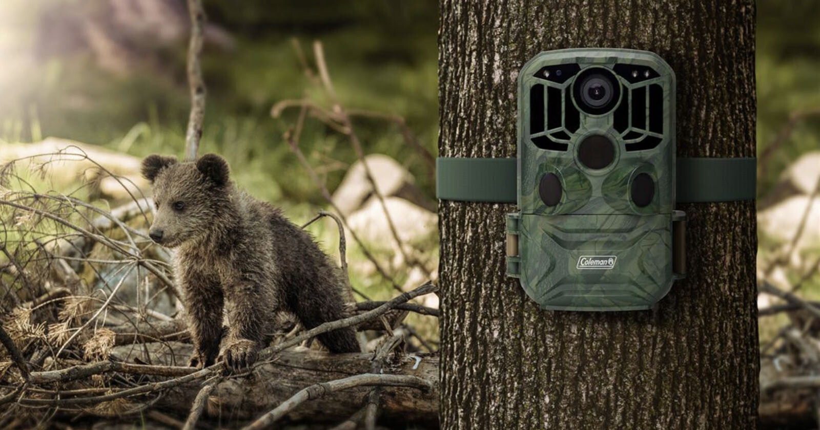NH Lets Anyone Mount Game Cameras on Private Land Without Permission