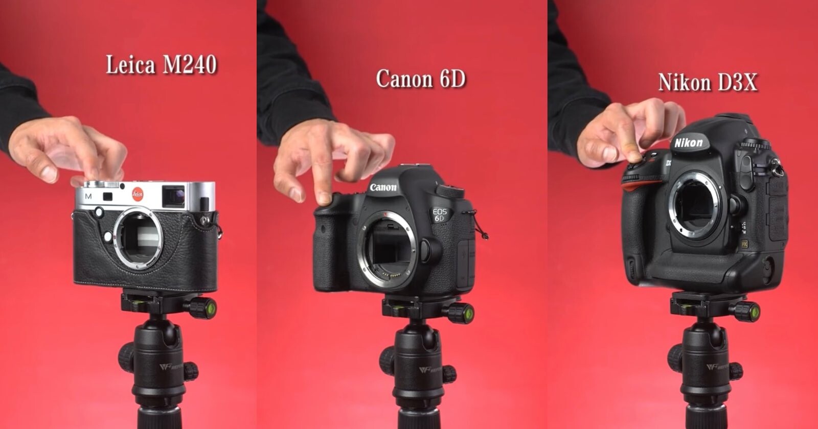 Photography ASMR: Video Compares Satisfying Shutter Sounds of Cameras