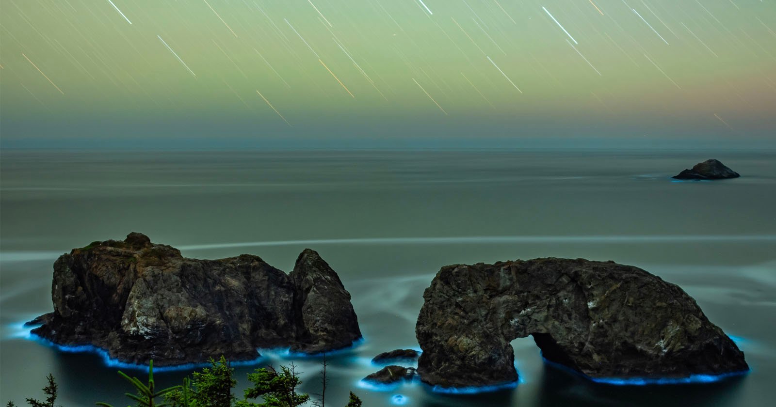 Photos of Bioluminescent Rocks Glowing Off the Coast of Oregon