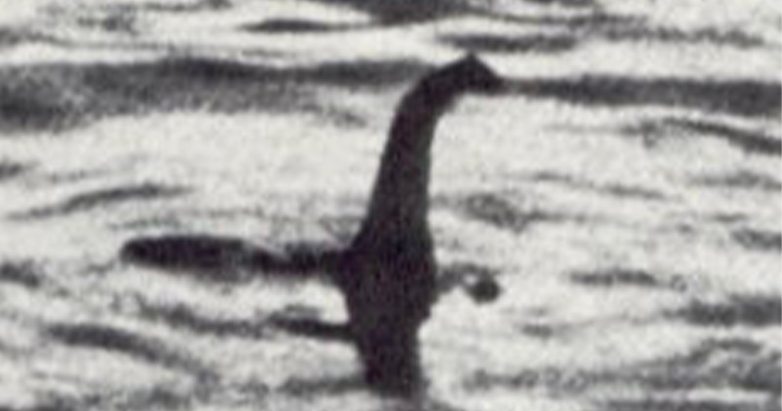 NASA Urged to Offer Its Advanced Imaging System in Search for Loch Ness Monster