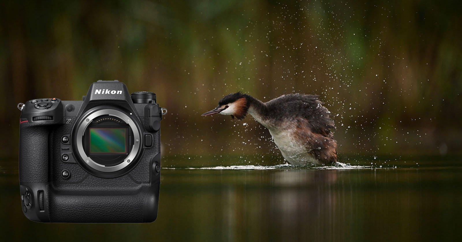 Nikons Fourth Firmware Upgrade for the Z9 Camera Adds Bird Detection