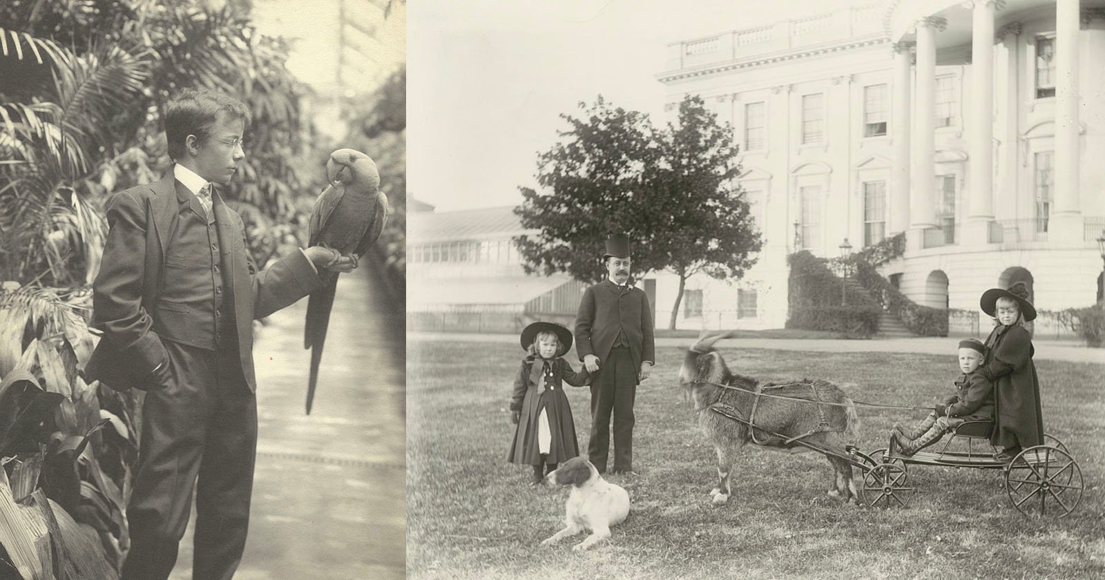Through the Years: Fascinating Photos of Presidential Pets