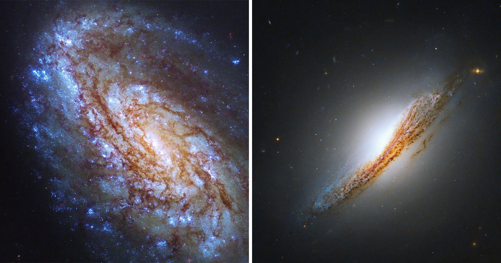  galaxies galore hubble celebrates photos 
