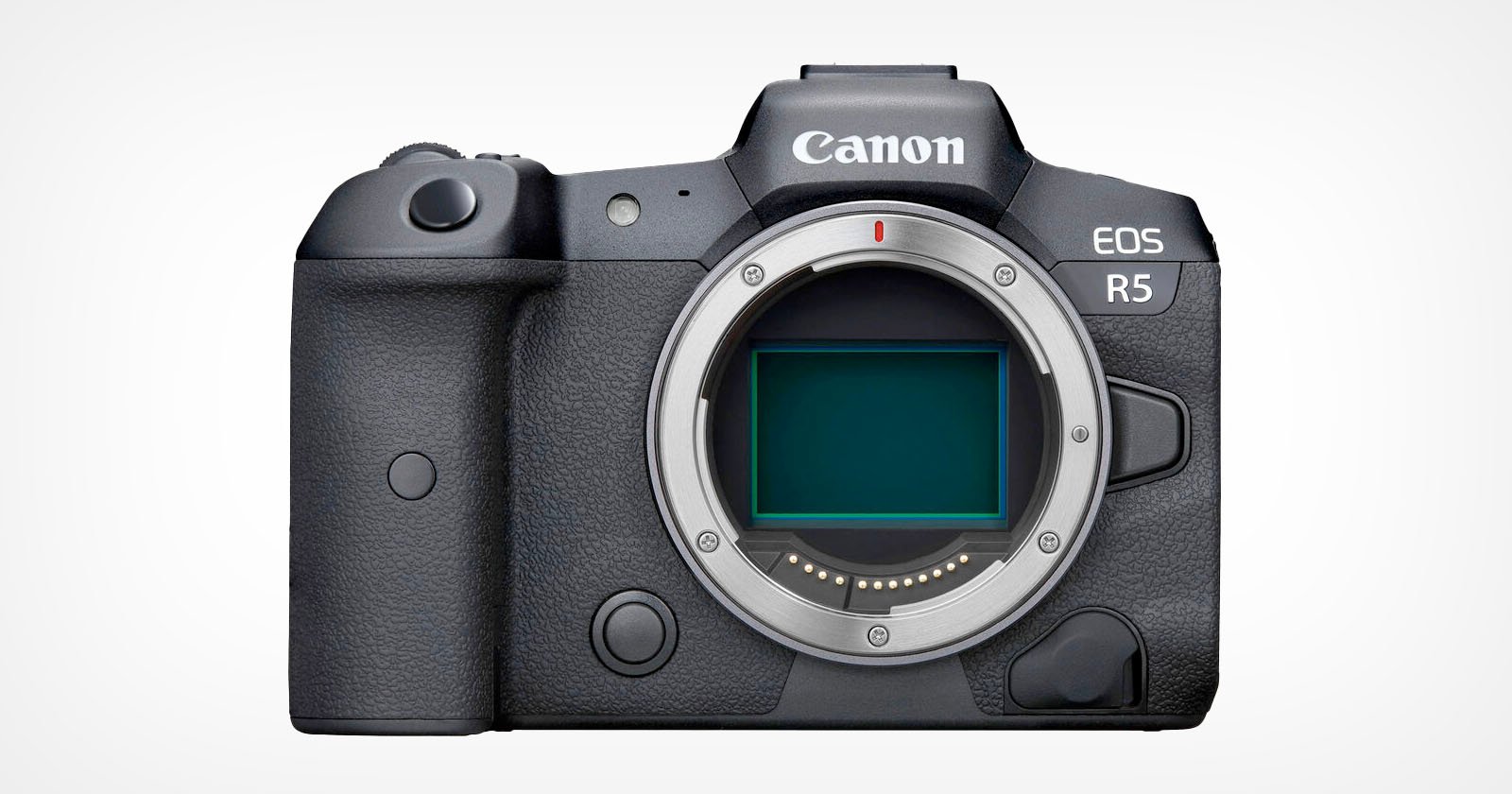 Canon Once Again Dominates the List of the Most Rented Gear of the Year