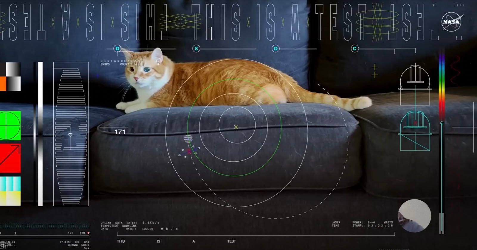  nasa streams cat video from deep space 