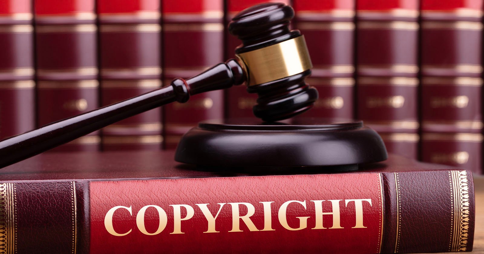 Photographer Awarded $6.3 Million in Copyright Infringement Trial