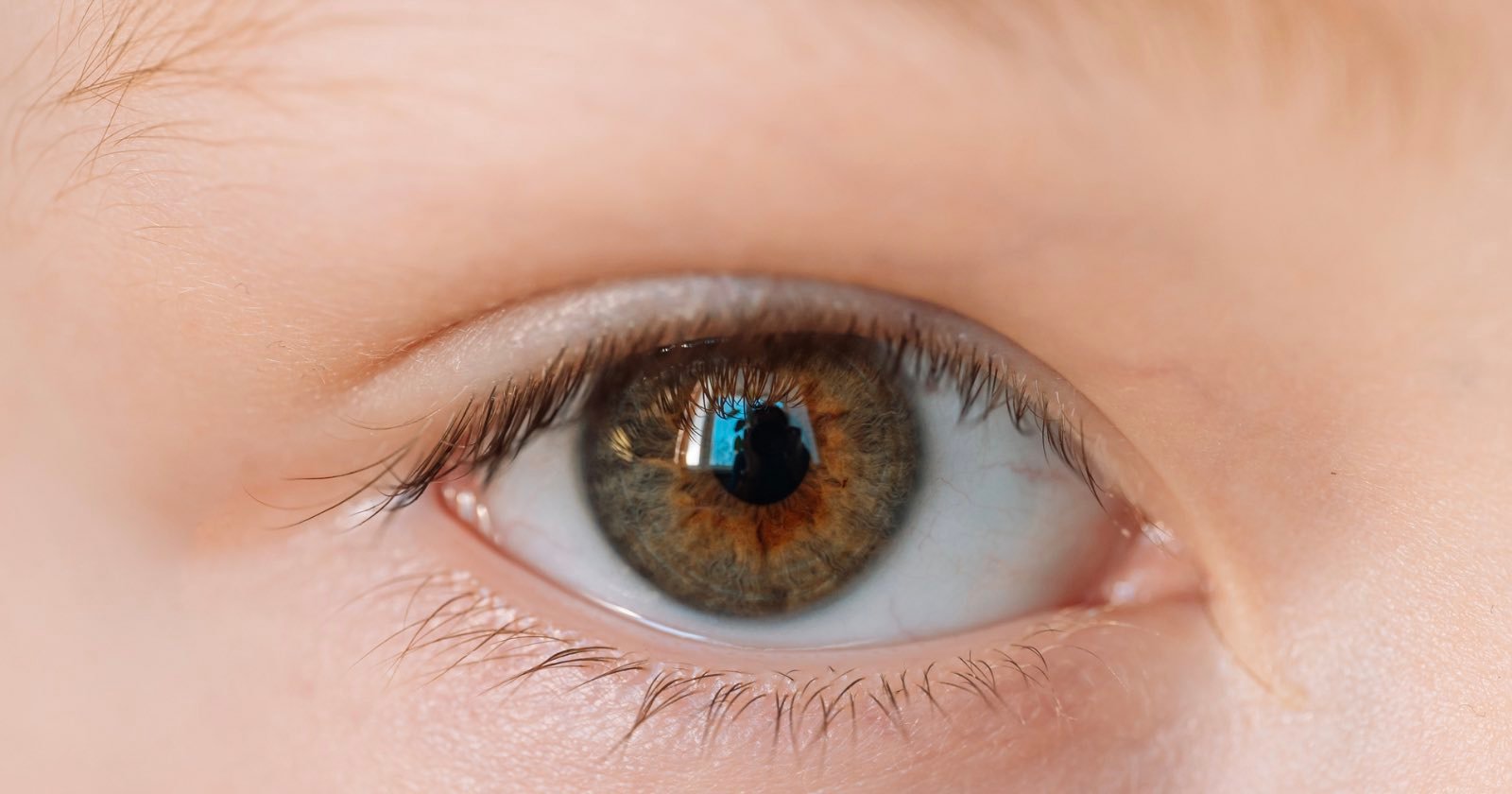  can diagnose childhood autism from eye photos 