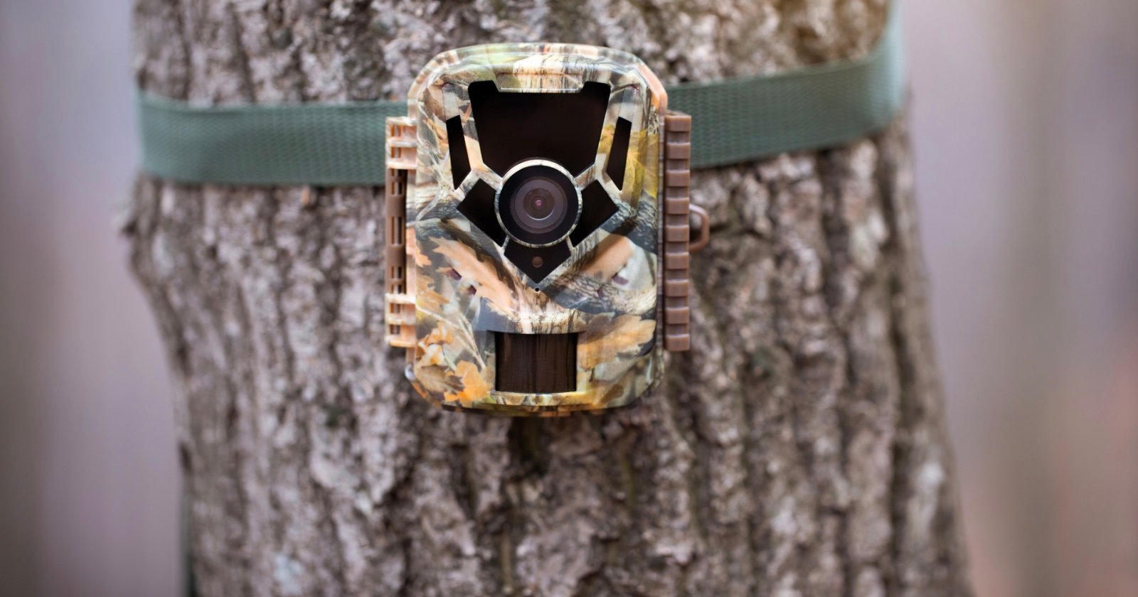 Kentucky May Ban Cellular Trail Cameras and Drones on Public Land
