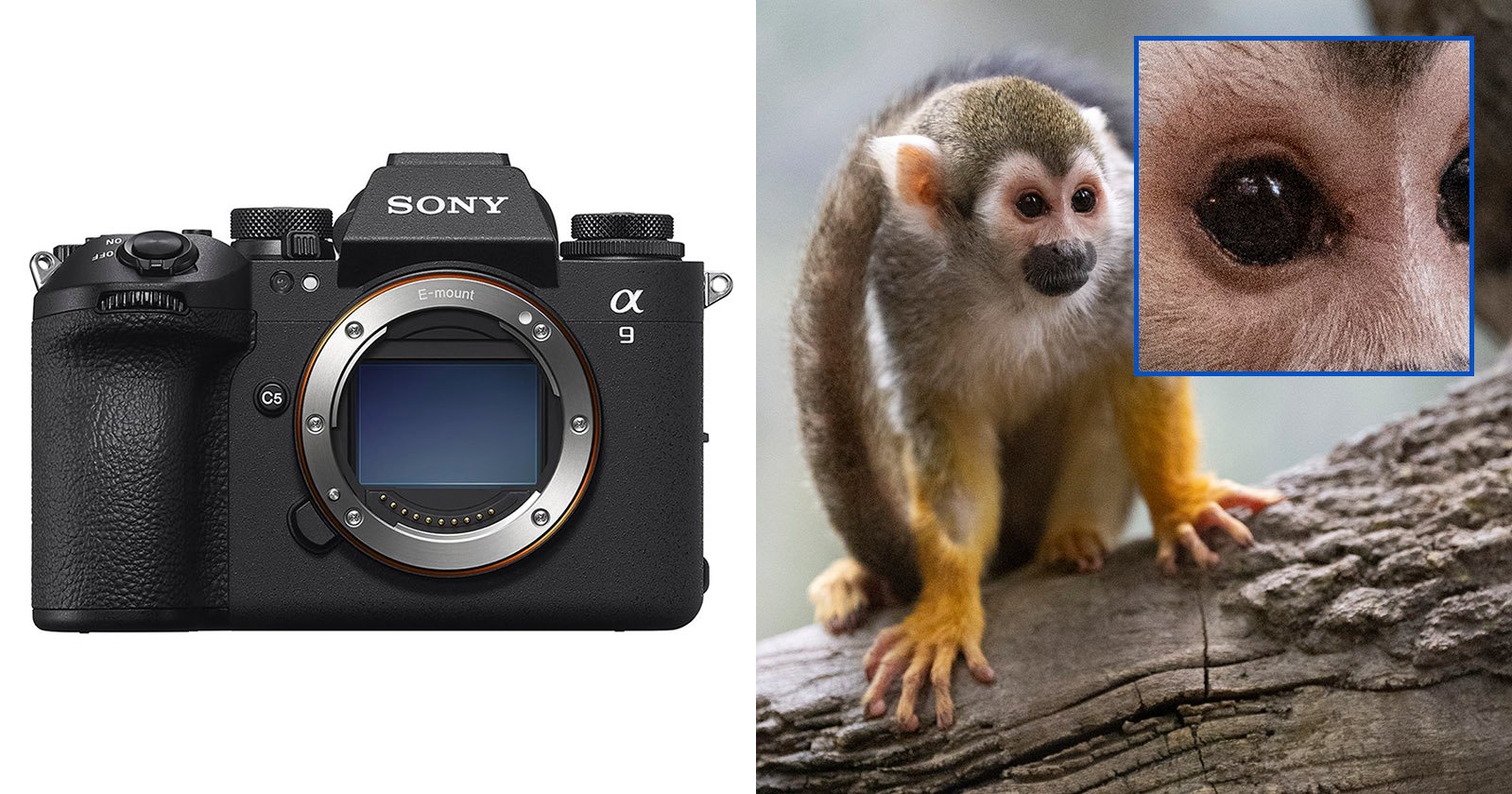  sony iii fast but comes noticeable 