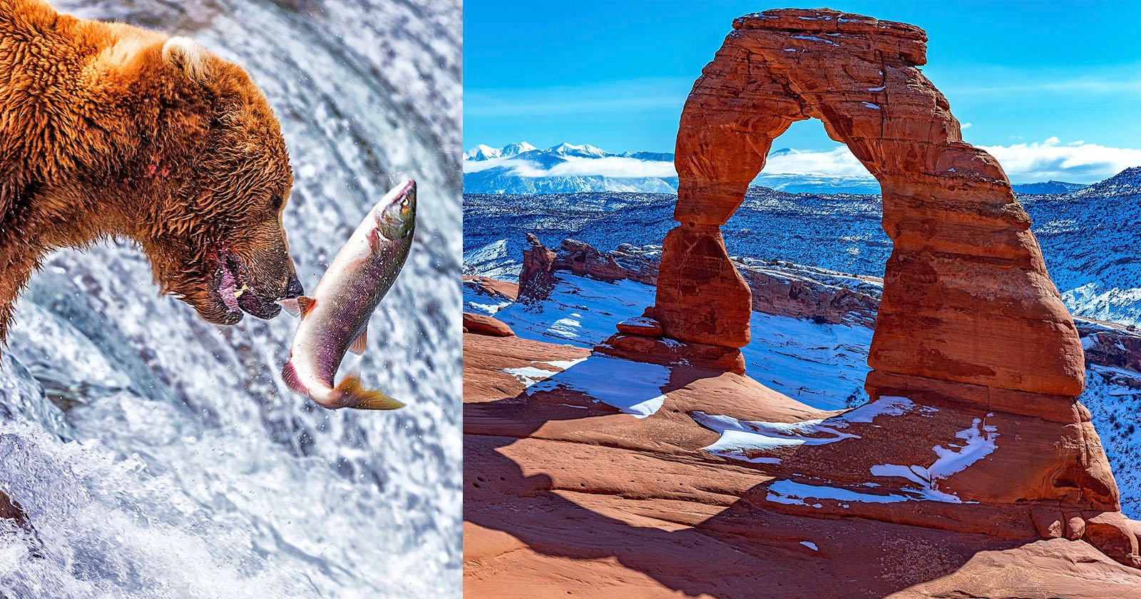 This Photographer Has Visited 27 of the 63 US National Parks