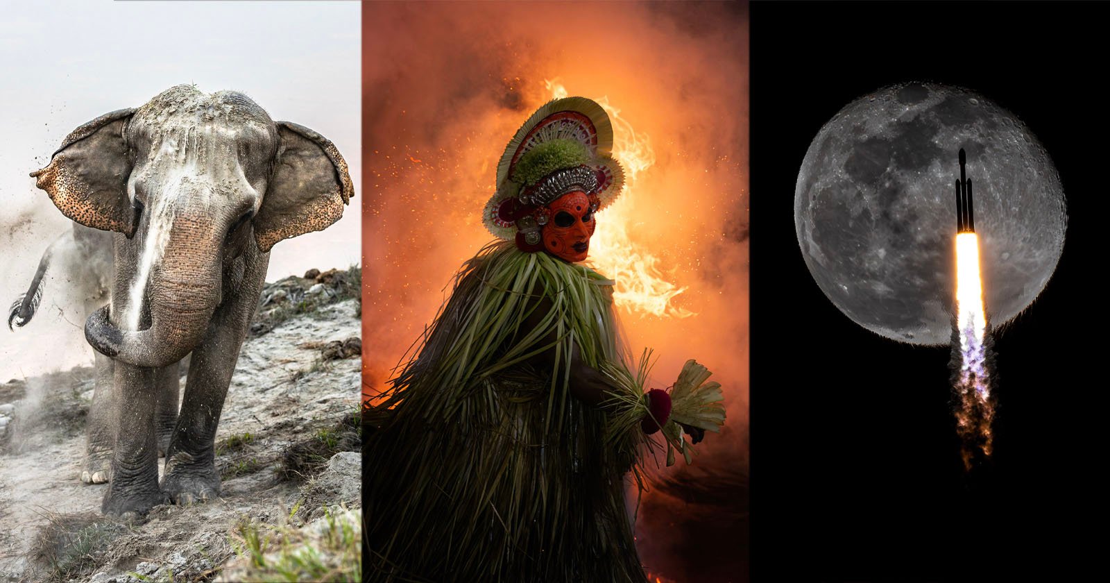 The Best Photographs From 31 Countries, According to the World Photography Awards
