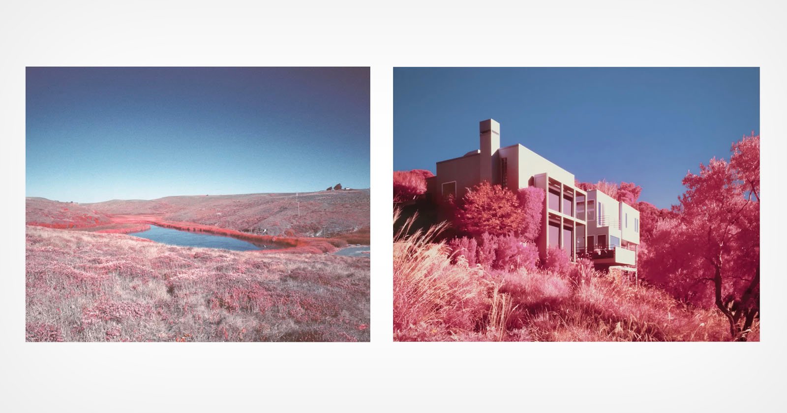 How to Revive the Look and Feel of the Extinct Kodak Aerochrome Film