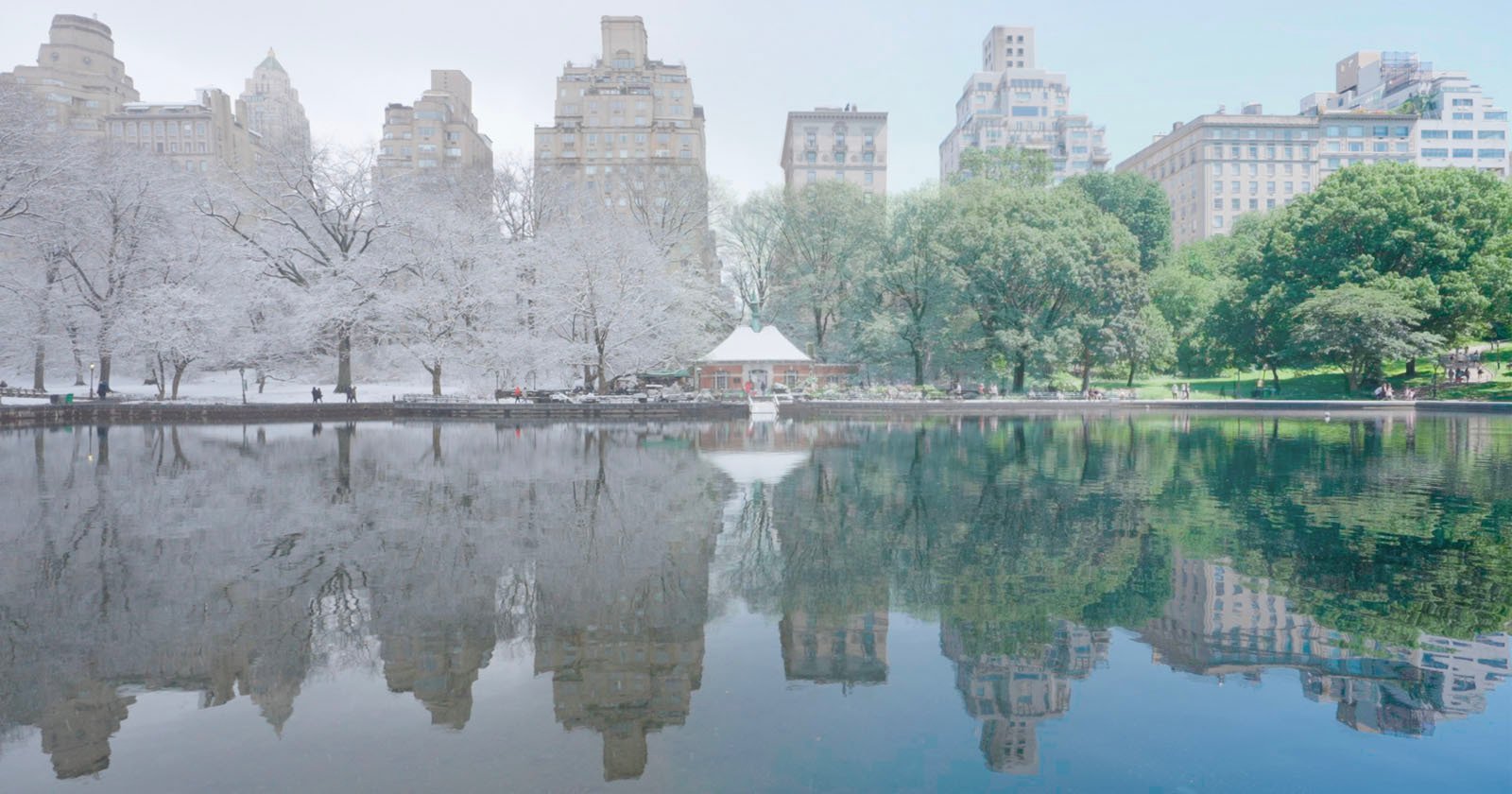 Photographers Patience Pays Off in Stunning Seasonal Video of New York