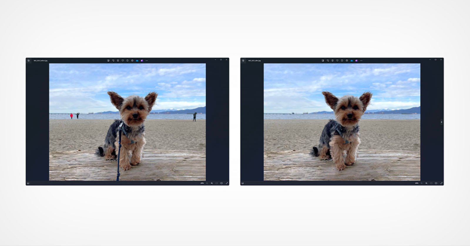 Windows Photos Now Has Generative Erase and More AI Tools