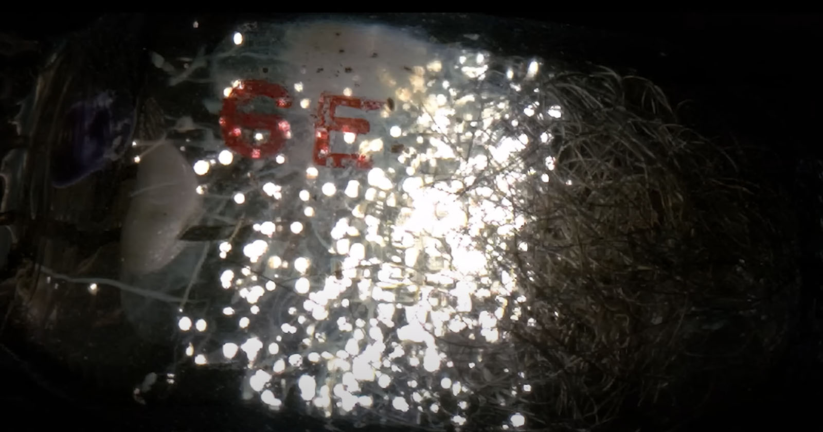 Watch Old-School Single-Use Flash Bulbs Explode in Slow-Mo