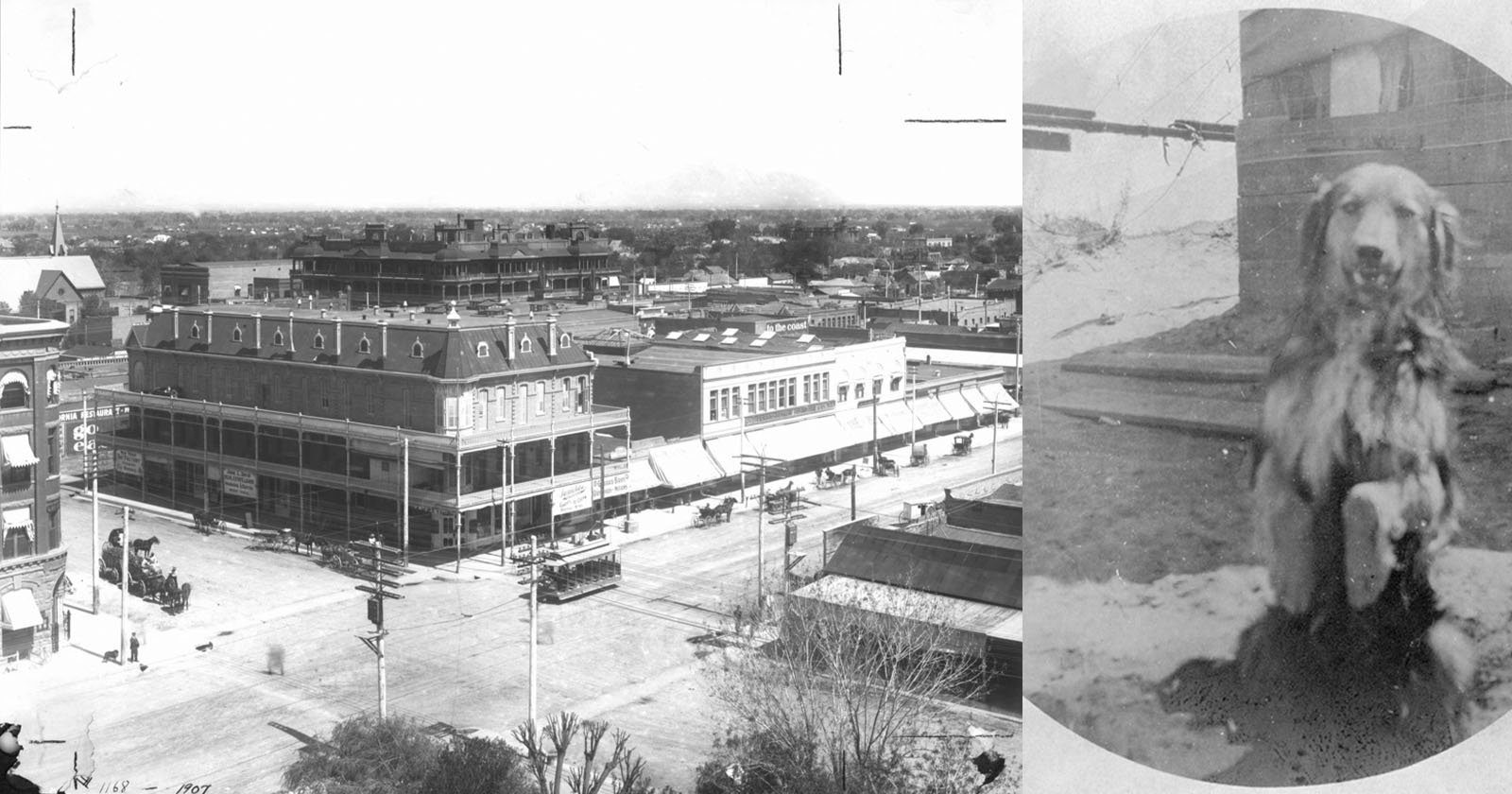  thousands photos showing arizona before became state are 