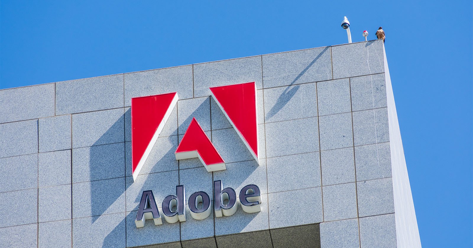  adobe will buy your videos per minute 