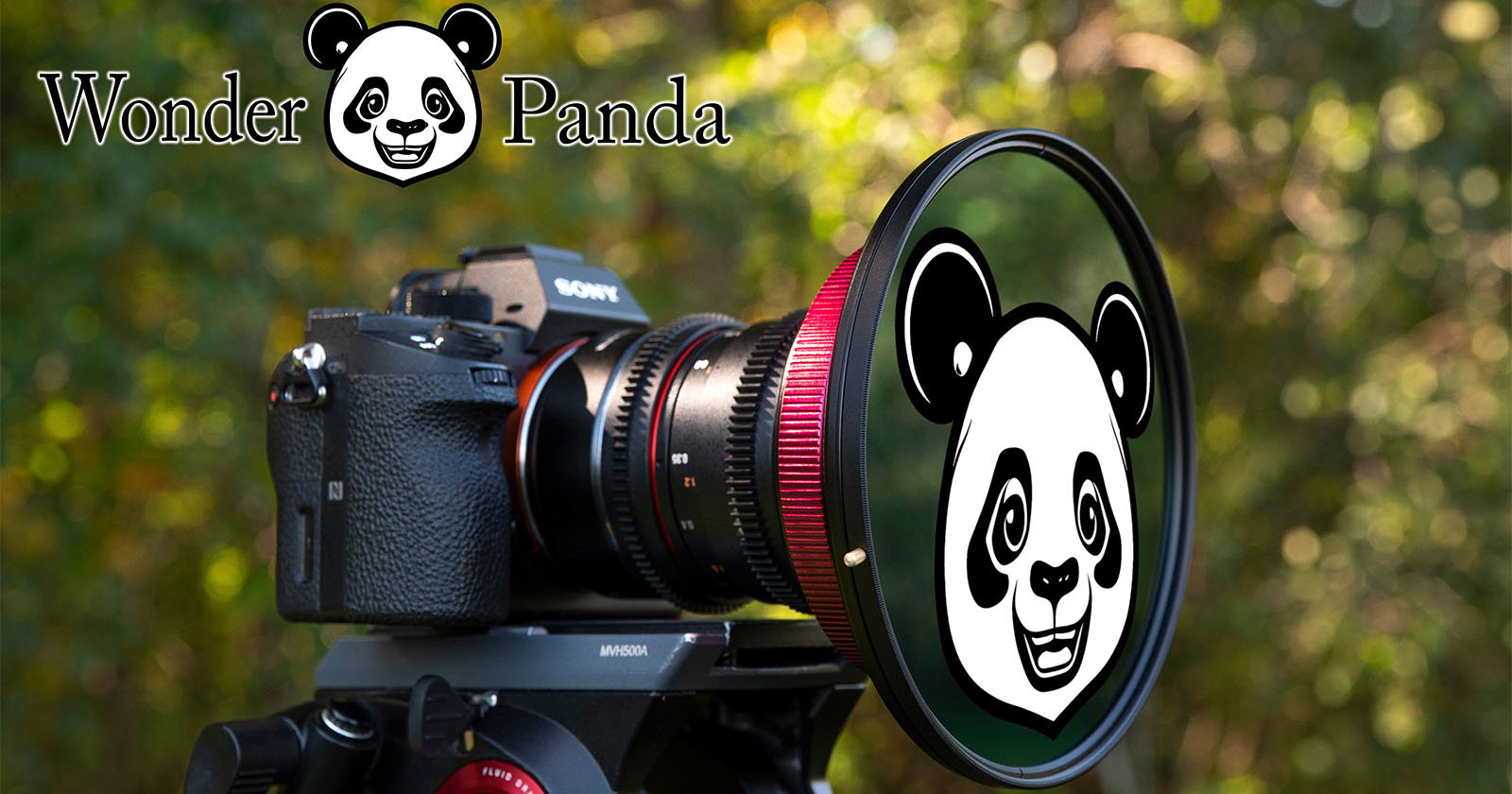 Your Landscape Photos Are Missing Something: Cartoon Panda Bears