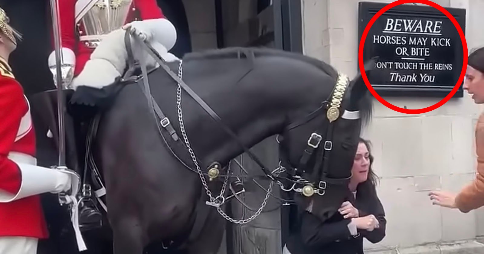 Woman is Bitten by Kings Guard Horse in London While Posing for Photo