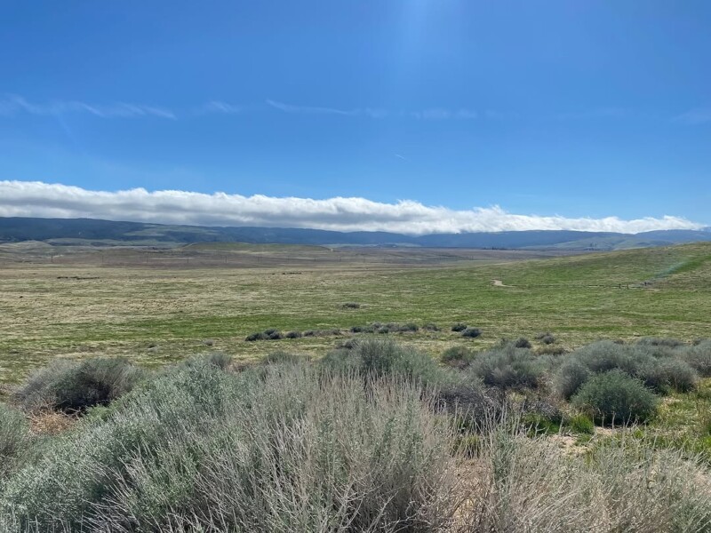 A vast open landscape with rolling green hills under a clear blue sky. Fluffy clouds hover near the horizon. In the foreground, some shrubs are visible, adding texture to the serene scene.