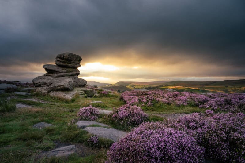 A rocky landscape with a dramatic sunset in the background. The sky is overcast, but a warm glow breaks through, illuminating a field of purple heather in the foreground and rolling hills in the distance.