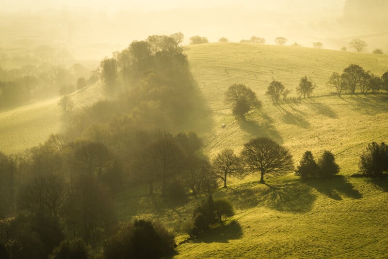 A tranquil landscape of rolling hills bathed in soft, golden light. Shadows of scattered trees stretch across the lush, green terrain, creating a serene and picturesque scene in the gentle morning sun.