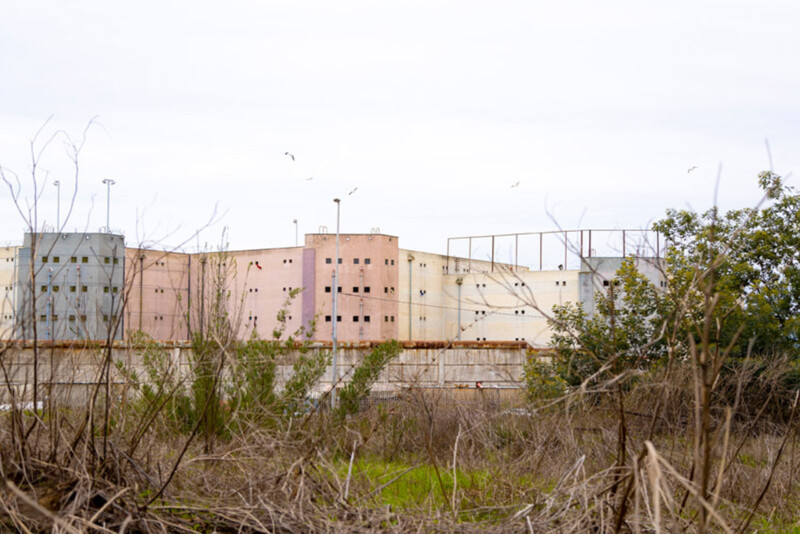 A large, pale-colored concrete building stands behind overgrown grass and shrubs, with a cloudy sky above and birds flying in the distance. The building has small, square windows and a rusty fence in front.