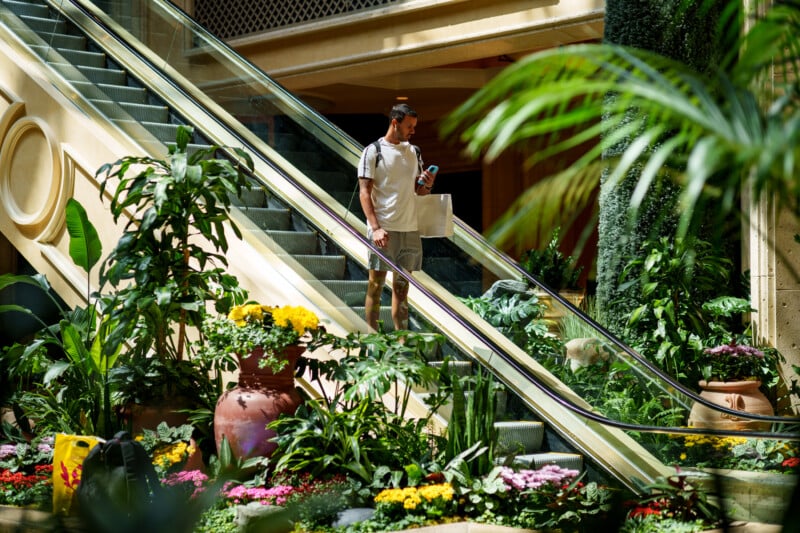 A man in casual clothes stands on an escalator next to lush indoor plants and colorful flowers, holding a phone and a shopping bag in a bright, elegant mall setting.